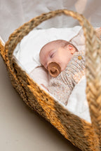 Корзина Моисея с ручками + матрас - морские водоросли 